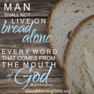 Slices of bread on a wooden background.